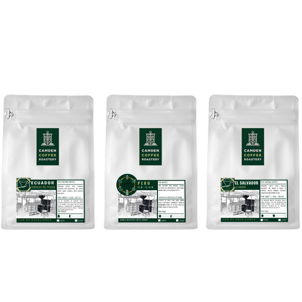 WORLD CLASS BUNDLE